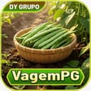 Logo VAGEM PG.COM