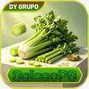 Logo DY SALSAOPG.COM