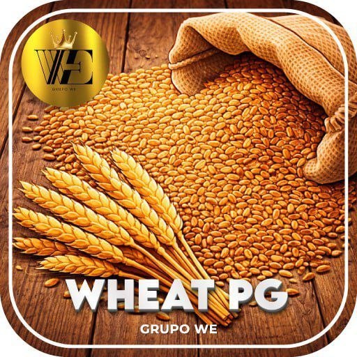 Logo da WE-WHEAT-PG.COM