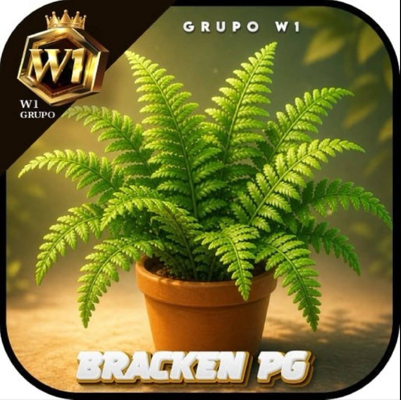 Logo W1 BRACKENNPG.COM
